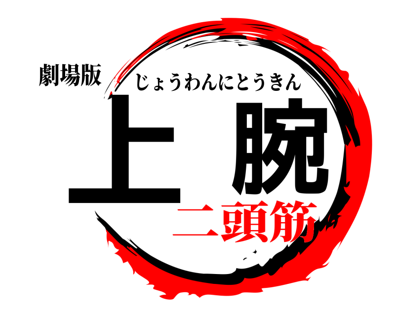 劇場版 上腕 じょうわんにとうきん 二頭筋