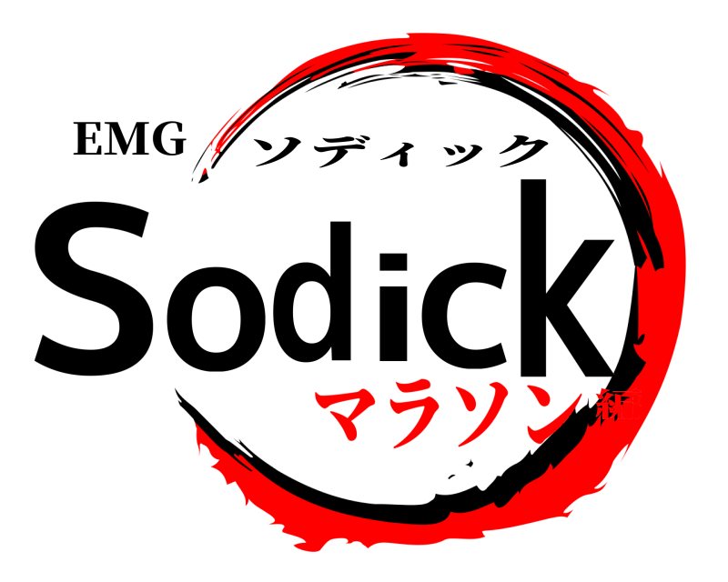 EMG Sodick ソディック マラソン編