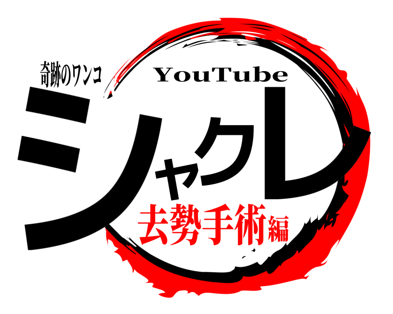 奇跡のワンコ シャクレ YouTube 去勢手術編