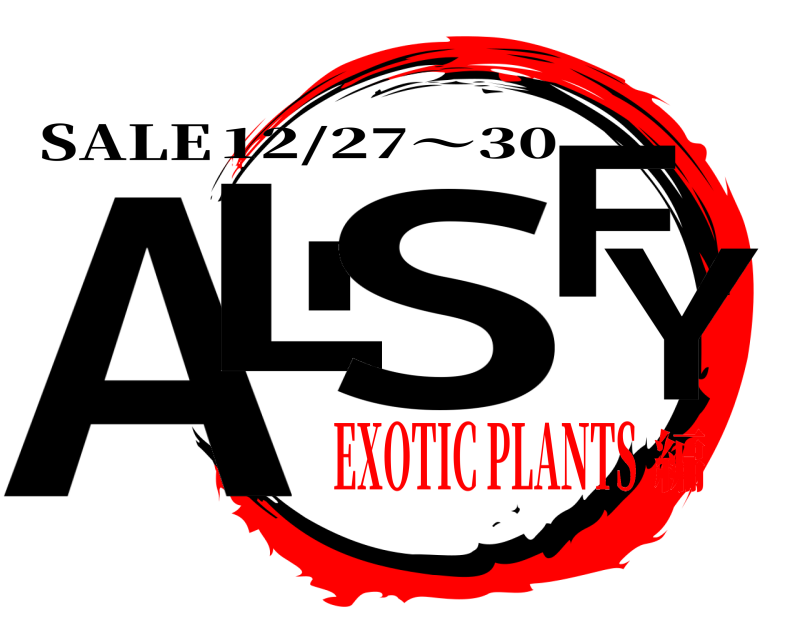 SALE ALISFY 12/27〜30 EXOTIC PLANTS編