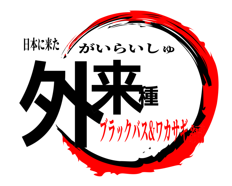 日本に来た 外来種 がいらいしゅ ブラックバス&ワカサギ編